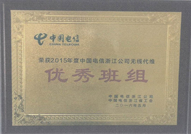 2015年度中國(guó)電信浙江公司無線代維優秀班組