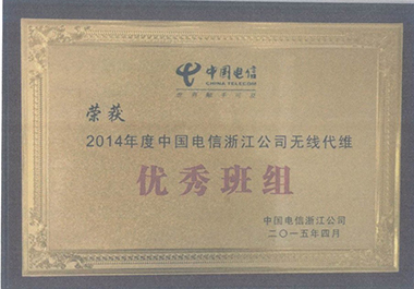 2014年度中國(guó)電信浙江公司無線代維優秀班組